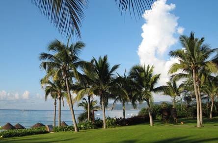 海南富硒地瓜的营养价值（海南富硒地瓜是毒地瓜吗）-硒宝网