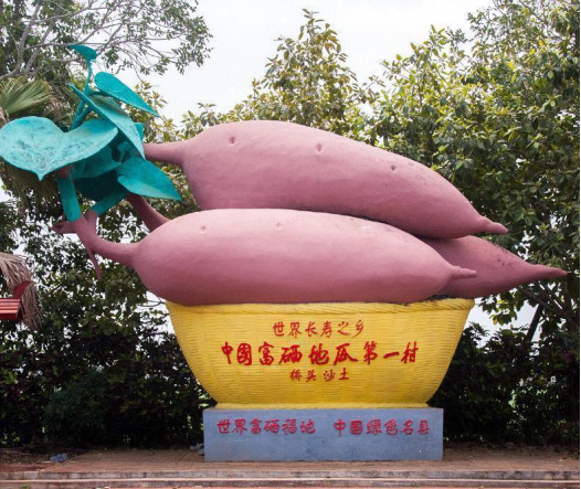 煮富硒地瓜多长时间好吃（富硒地瓜热量高吗）-硒宝网