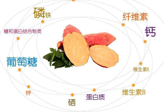 煮富硒地瓜多长时间好吃（富硒地瓜热量高吗）-硒宝网