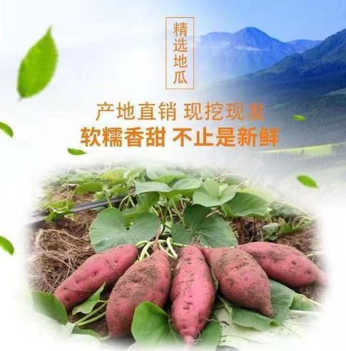 煮富硒地瓜多长时间好吃（富硒地瓜热量高吗）-硒宝网