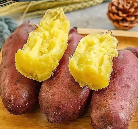 煮富硒地瓜多长时间好吃（富硒地瓜热量高吗）-硒宝网