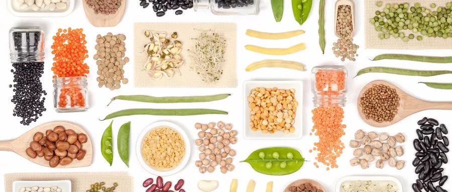 富硒地瓜怎么样种植的呢(富硒地瓜种植技术视频教程)-硒宝网