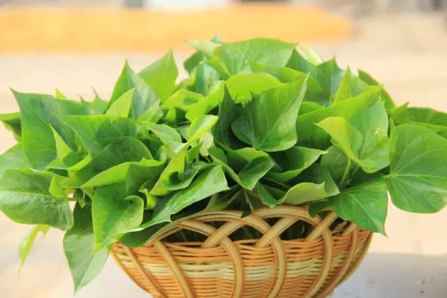 富硒地瓜血压高的能吃吗(血压高吃地瓜可以吗)-硒宝网