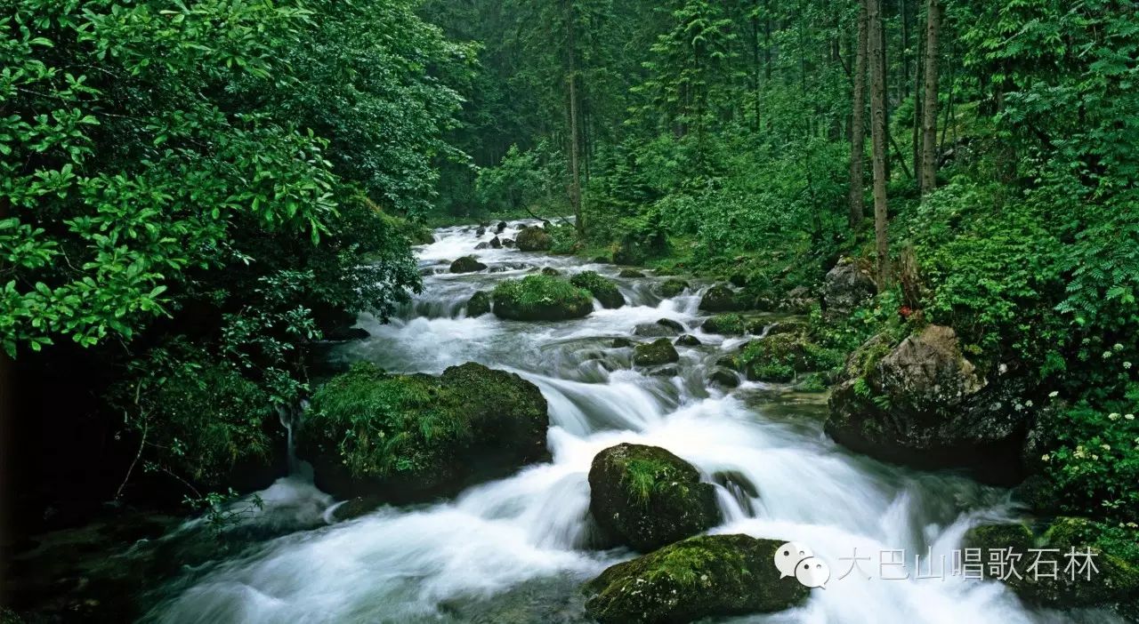 富硒地瓜血压高的能吃吗(血压高吃地瓜可以吗)-硒宝网