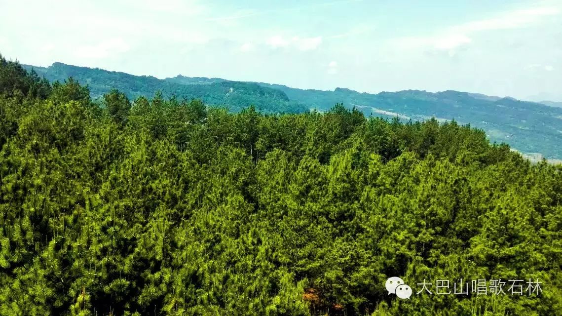 富硒地瓜血压高的能吃吗(血压高吃地瓜可以吗)-硒宝网