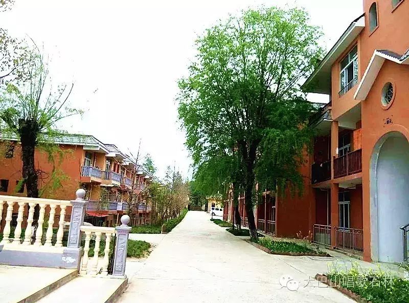 富硒地瓜血压高的能吃吗(血压高吃地瓜可以吗)-硒宝网