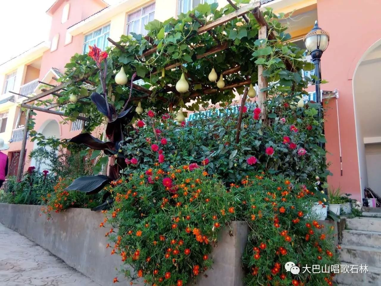 富硒地瓜血压高的能吃吗(血压高吃地瓜可以吗)-硒宝网