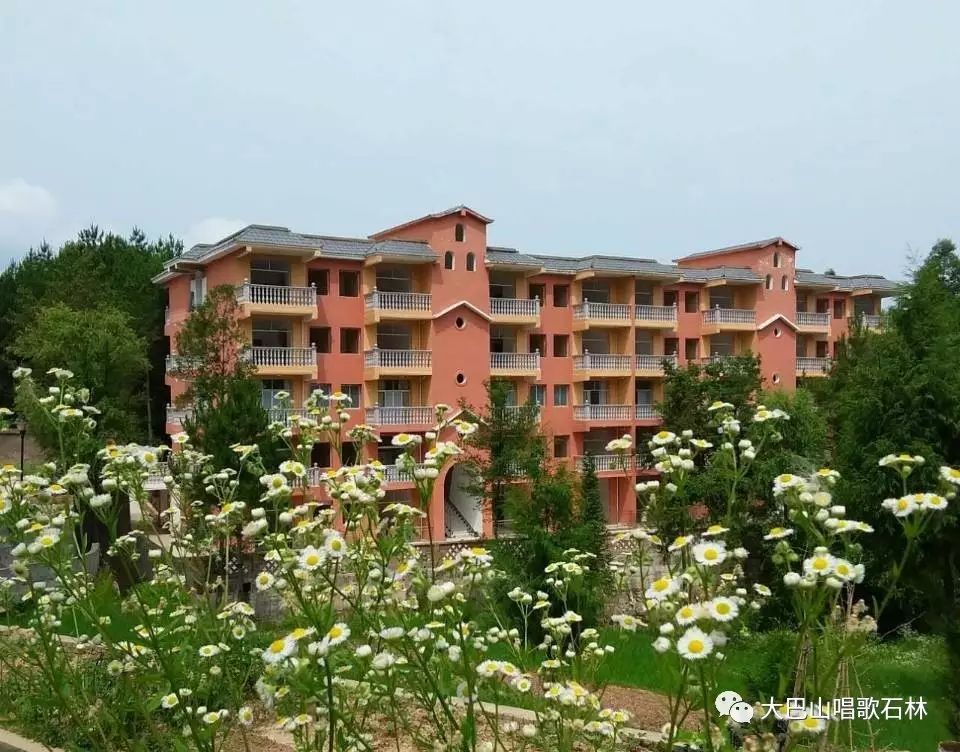 富硒地瓜血压高的能吃吗(血压高吃地瓜可以吗)-硒宝网