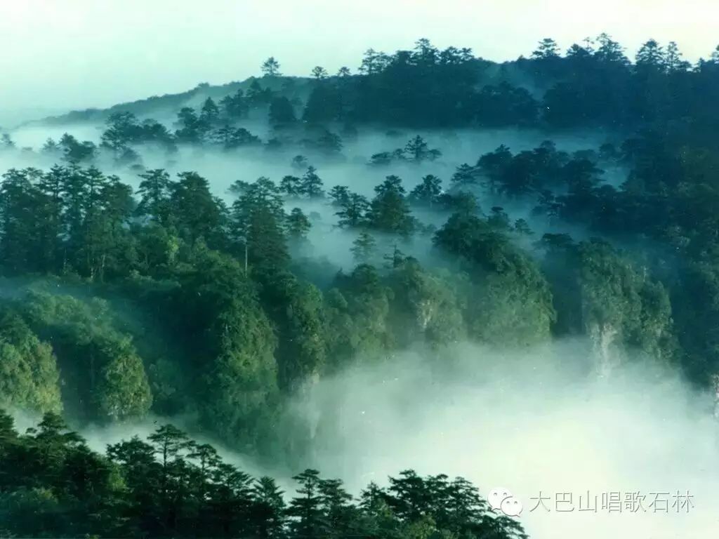 富硒地瓜血压高的能吃吗(血压高吃地瓜可以吗)-硒宝网