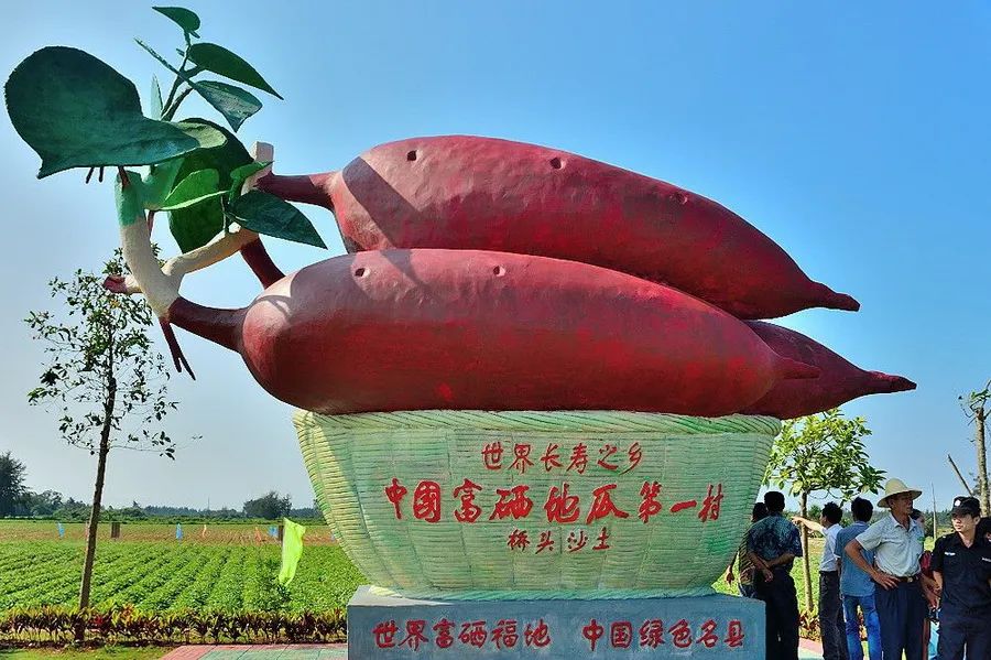 富硒地瓜好吃嘛怎么做的(好吃地瓜富硒做法大全)-硒宝网