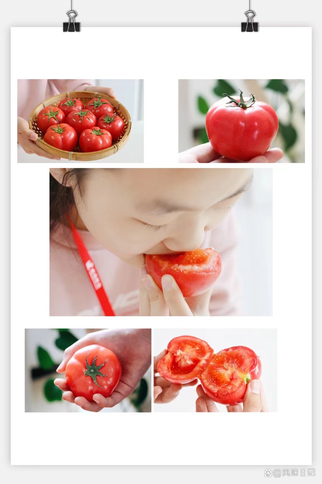 几月份种富硒地瓜最好吃(地瓜几月份栽种)-硒宝网