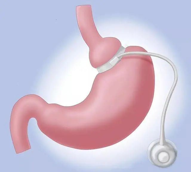富硒地瓜好不好种呀视频(富硒地瓜怎么种植)-硒宝网