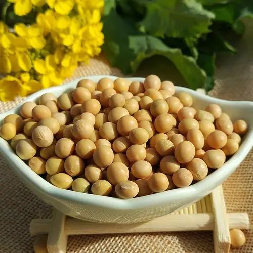 富硒地瓜好不好种呀视频(富硒地瓜怎么种植)-硒宝网