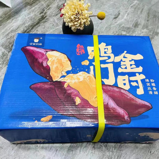 海南桥沙富硒地瓜多少钱(海南桥沙地瓜功效)-硒宝网