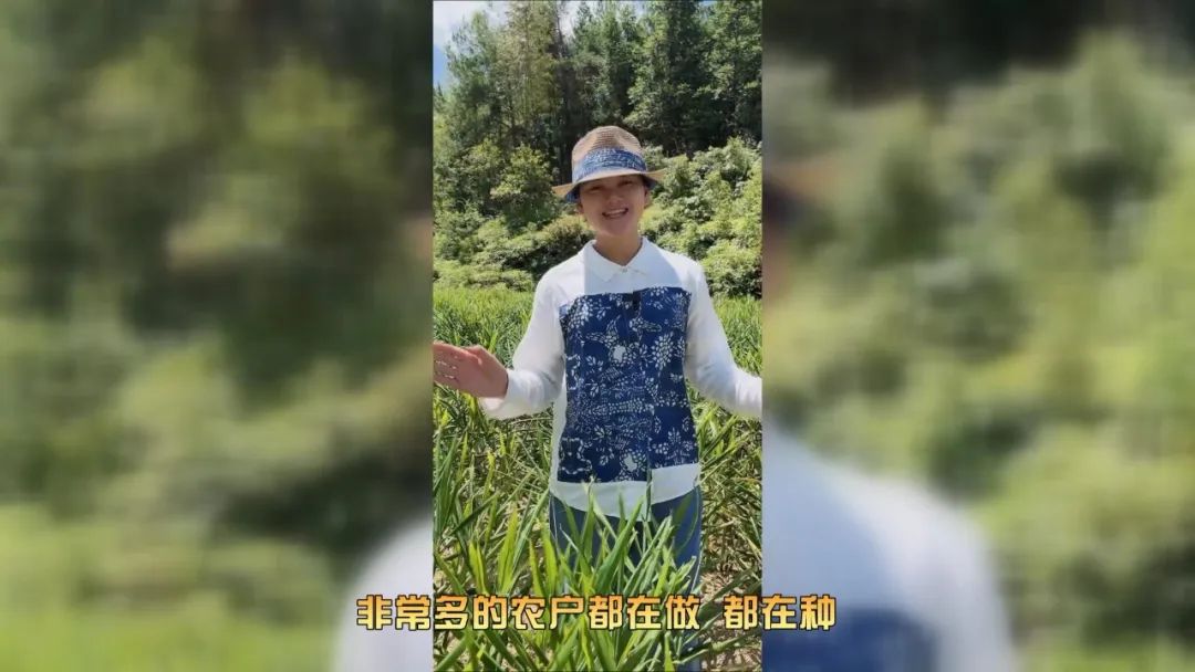富硒地瓜好不好种呀视频(富硒地瓜亩产多少斤)-硒宝网