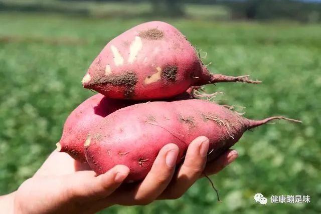 富硒地瓜血糖高的人吃吗（富硒地瓜含糖高吗）-硒宝网