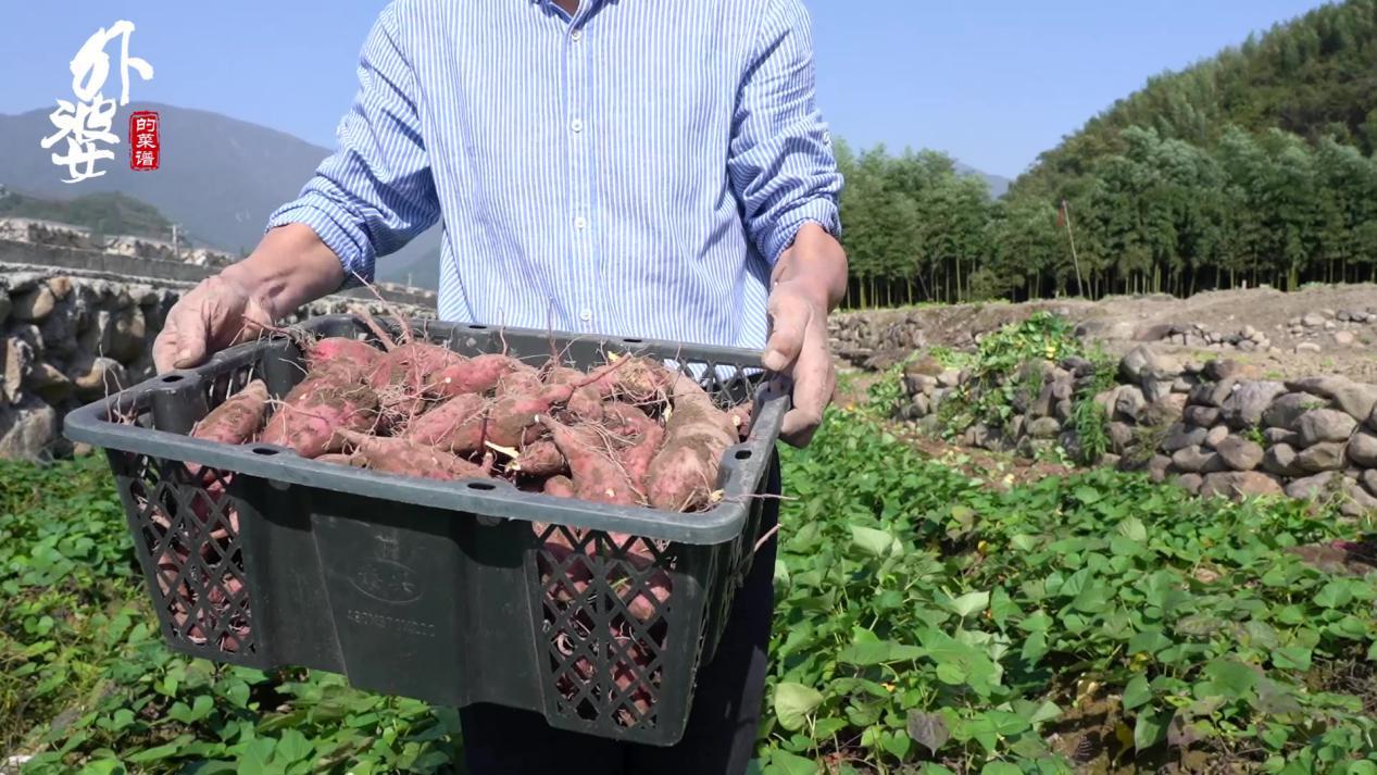 天目山小香薯和富硒地瓜（天目山香薯枣功效）-硒宝网