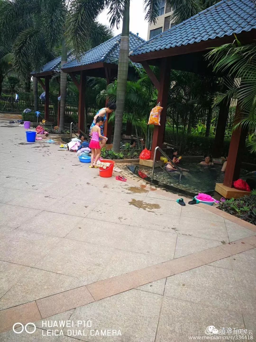 澄迈富硒地瓜多少钱一斤(海南富硒地瓜多少钱一斤)-硒宝网