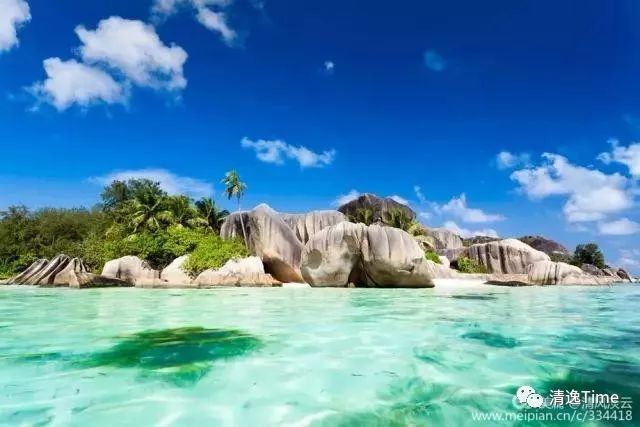 澄迈富硒地瓜多少钱一斤(海南富硒地瓜多少钱一斤)-硒宝网