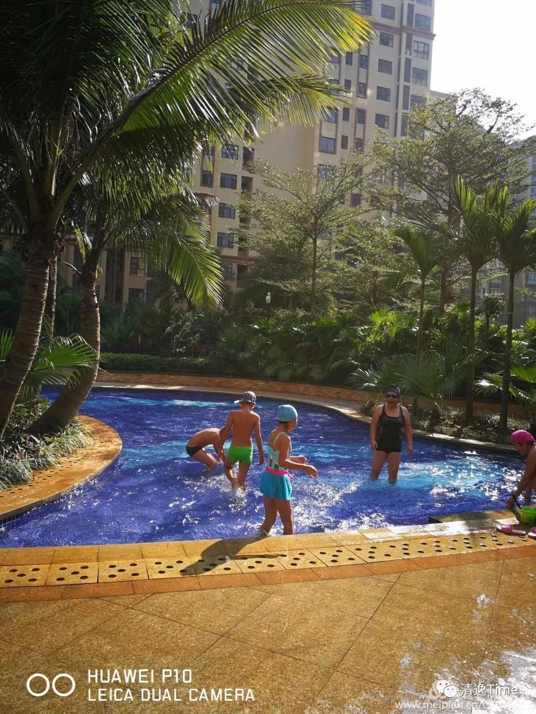 澄迈富硒地瓜多少钱一斤(海南富硒地瓜多少钱一斤)-硒宝网