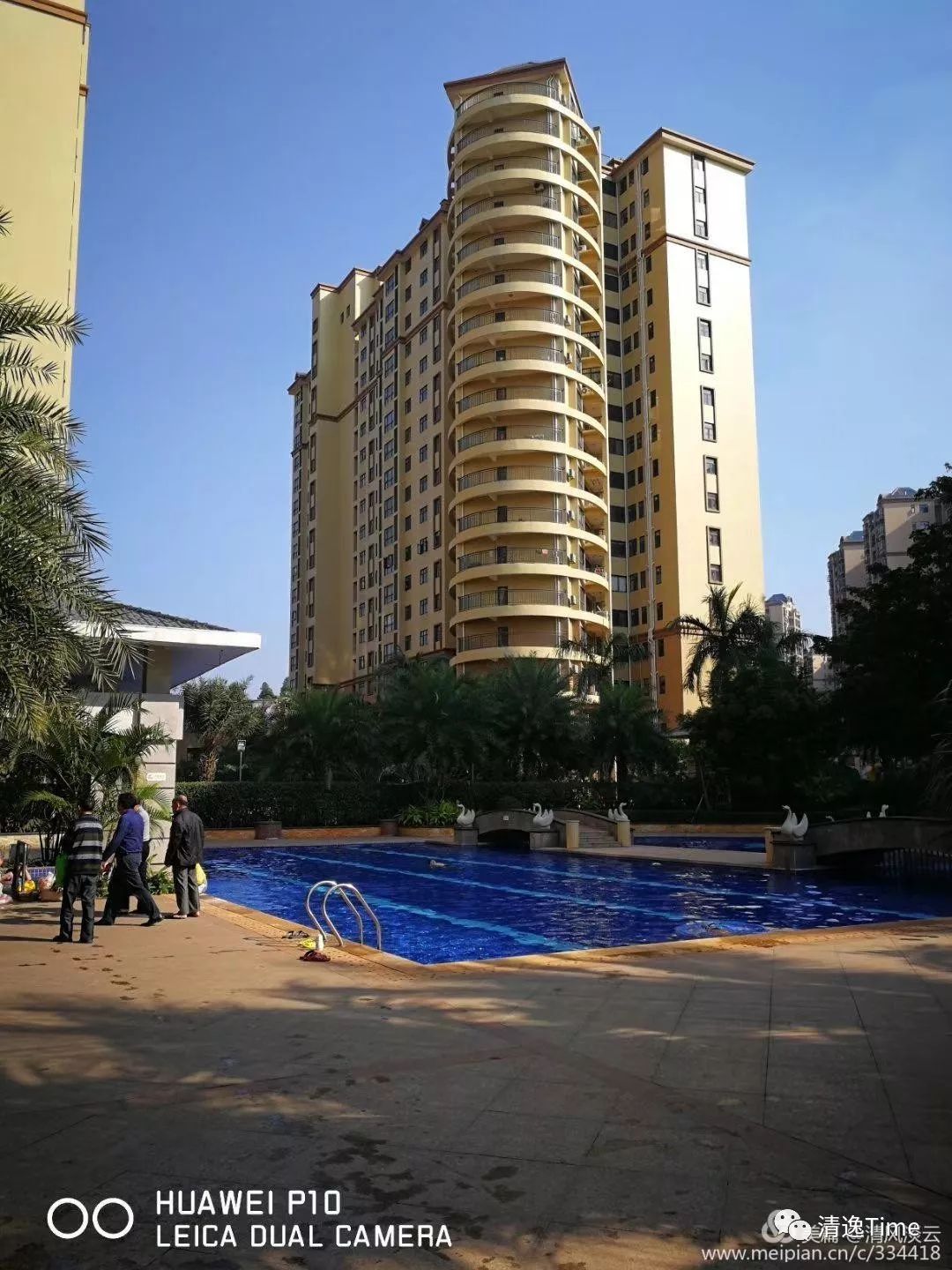 澄迈富硒地瓜多少钱一斤(海南富硒地瓜多少钱一斤)-硒宝网