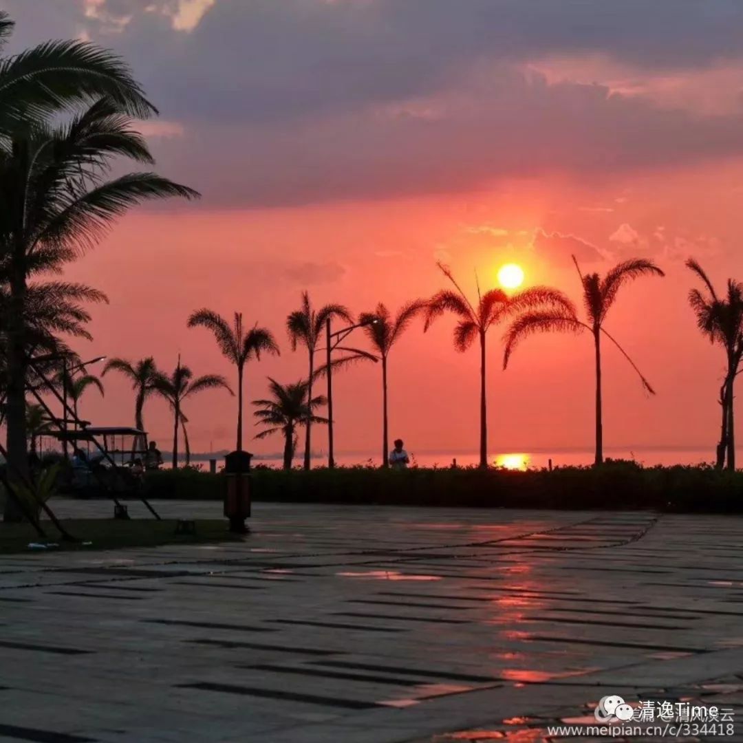 澄迈富硒地瓜多少钱一斤(海南富硒地瓜多少钱一斤)-硒宝网