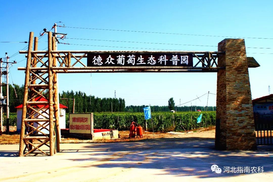 吃富硒面粉的功效与禁忌(禁忌面粉功效吃富硒好吗)-硒宝网