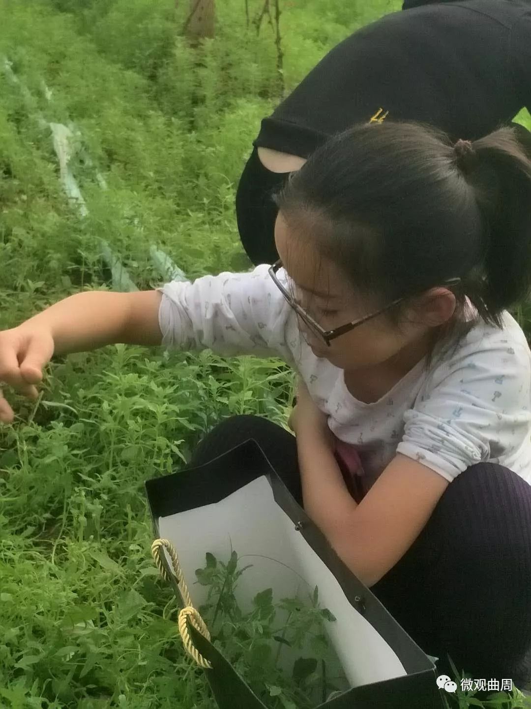 吃富硒面粉的功效与禁忌(禁忌面粉功效吃富硒好吗)-硒宝网