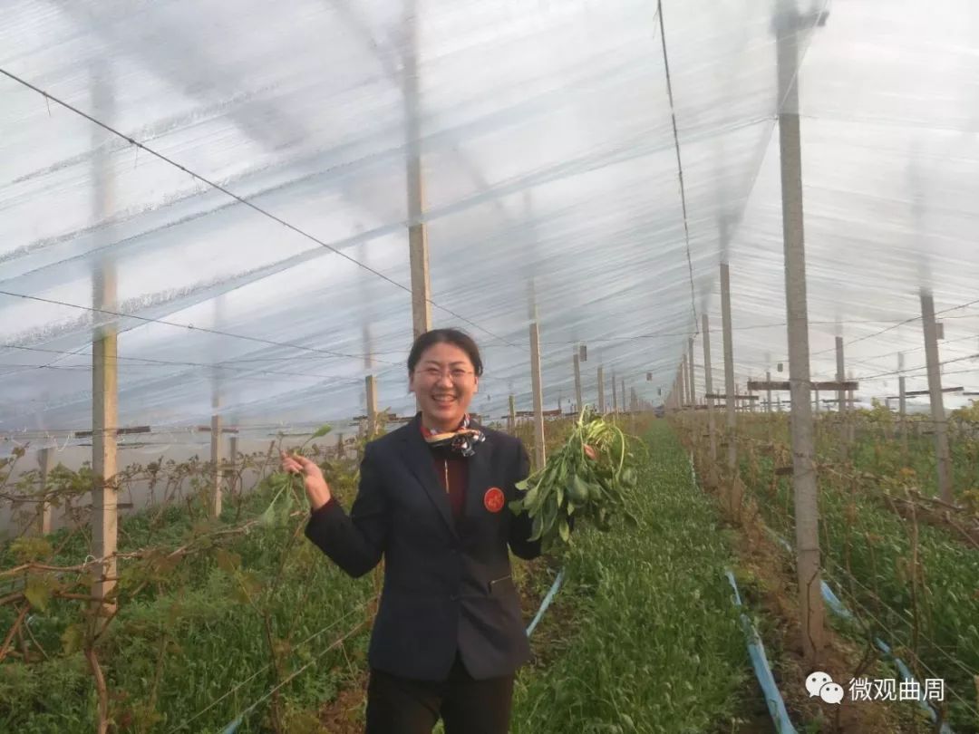 吃富硒面粉的功效与禁忌(禁忌面粉功效吃富硒好吗)-硒宝网