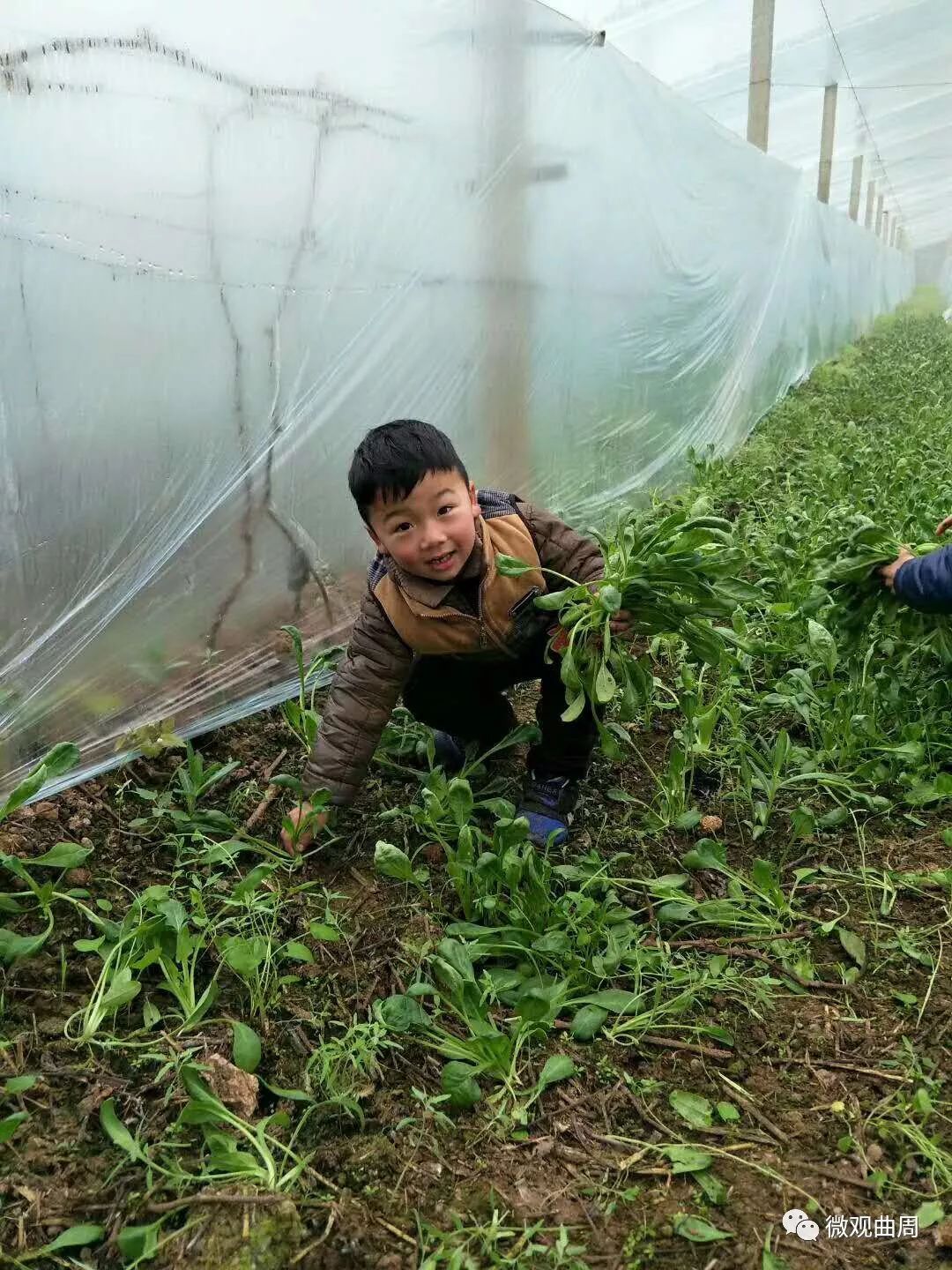 吃富硒面粉的功效与禁忌(禁忌面粉功效吃富硒好吗)-硒宝网