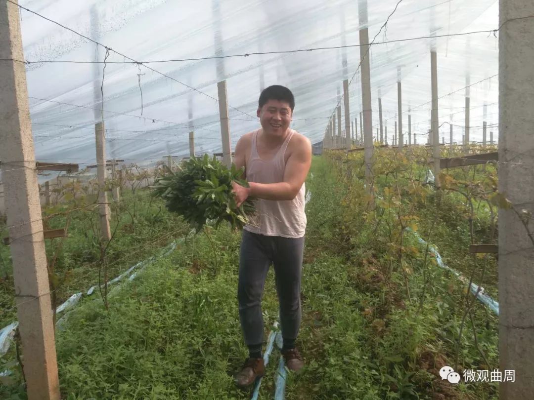 吃富硒面粉的功效与禁忌(禁忌面粉功效吃富硒好吗)-硒宝网