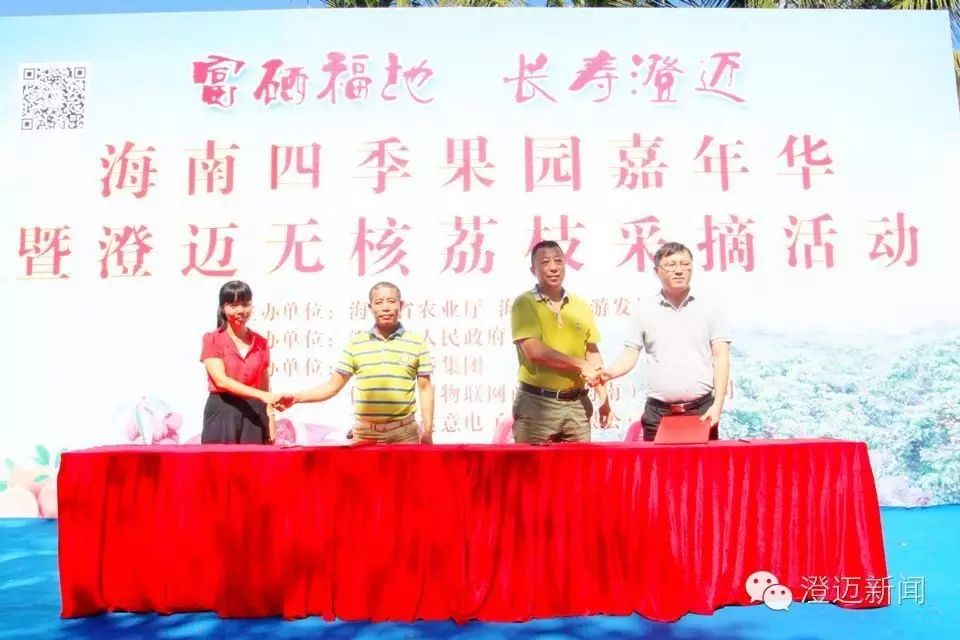 澄迈富硒地瓜多少钱一斤(海南富硒地瓜)-硒宝网