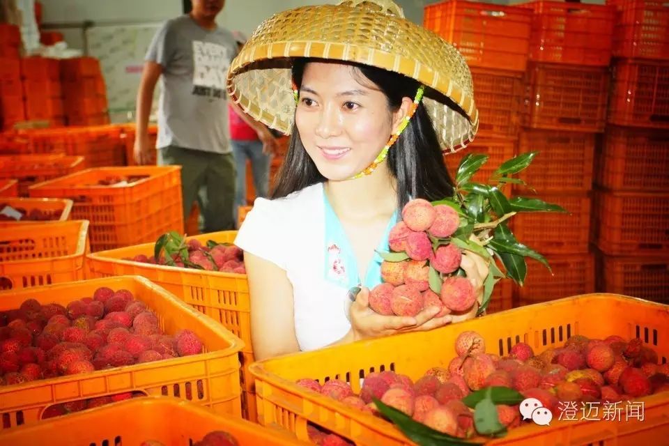 澄迈富硒地瓜多少钱一斤(海南富硒地瓜)-硒宝网