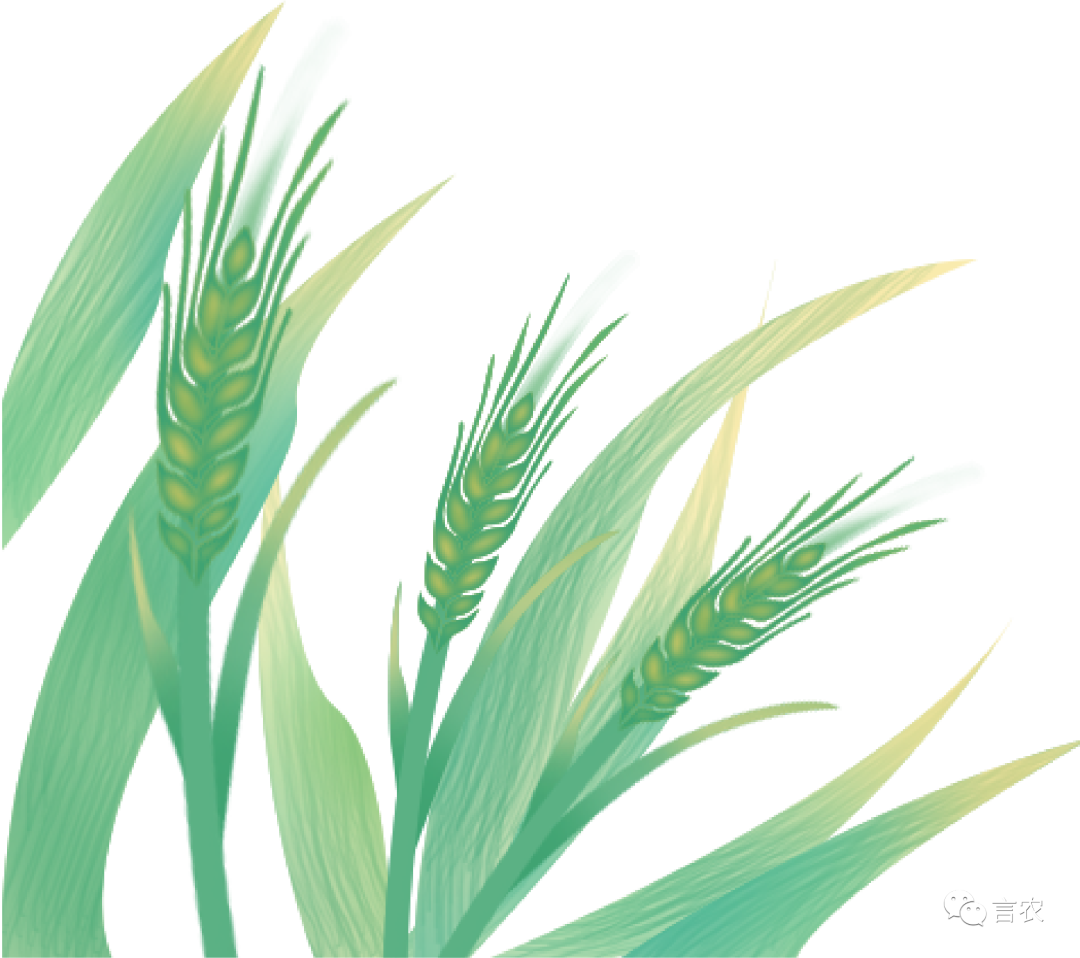 富硒面粉是哪个公司生产(面粉生产富硒公司是干什么的)-硒宝网