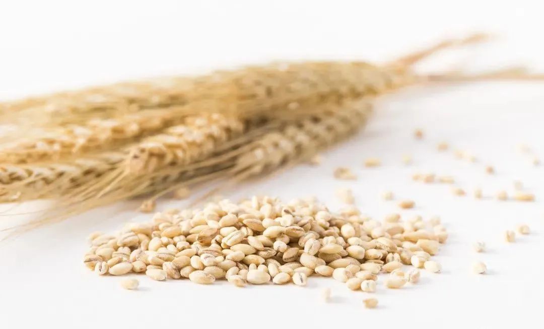 富硒面粉是哪个公司生产(面粉生产富硒公司是干什么的)-硒宝网