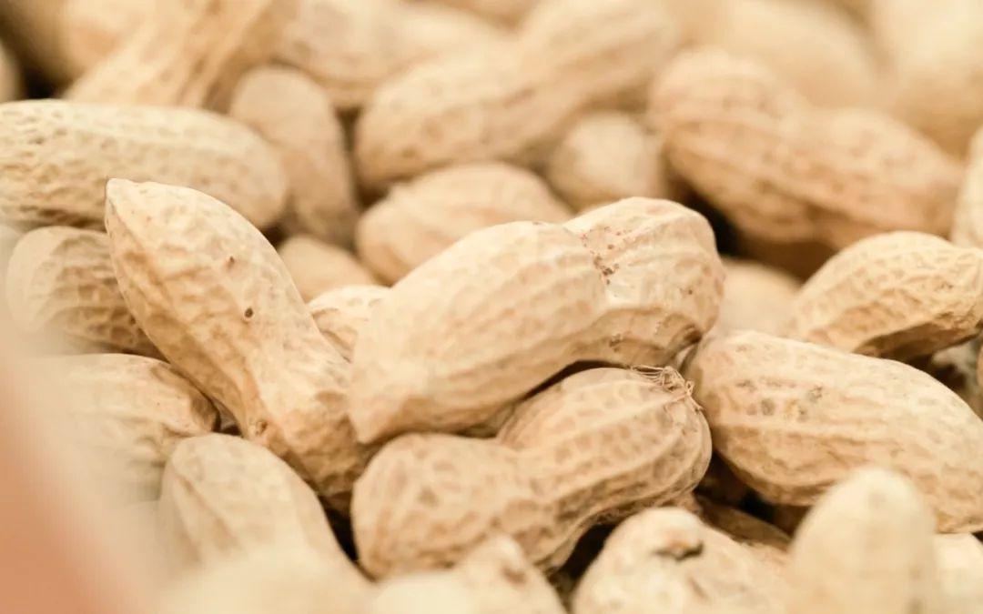 富硒葛根面粉怎么吃最好（葛根面吃了会胖吗）-硒宝网