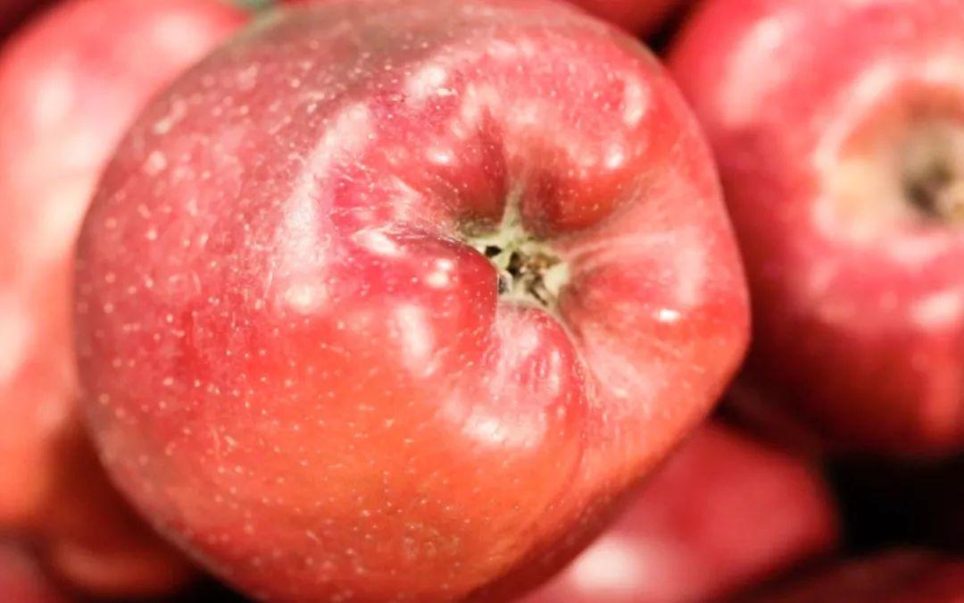 富硒葛根面粉怎么吃最好（葛根面吃了会胖吗）-硒宝网