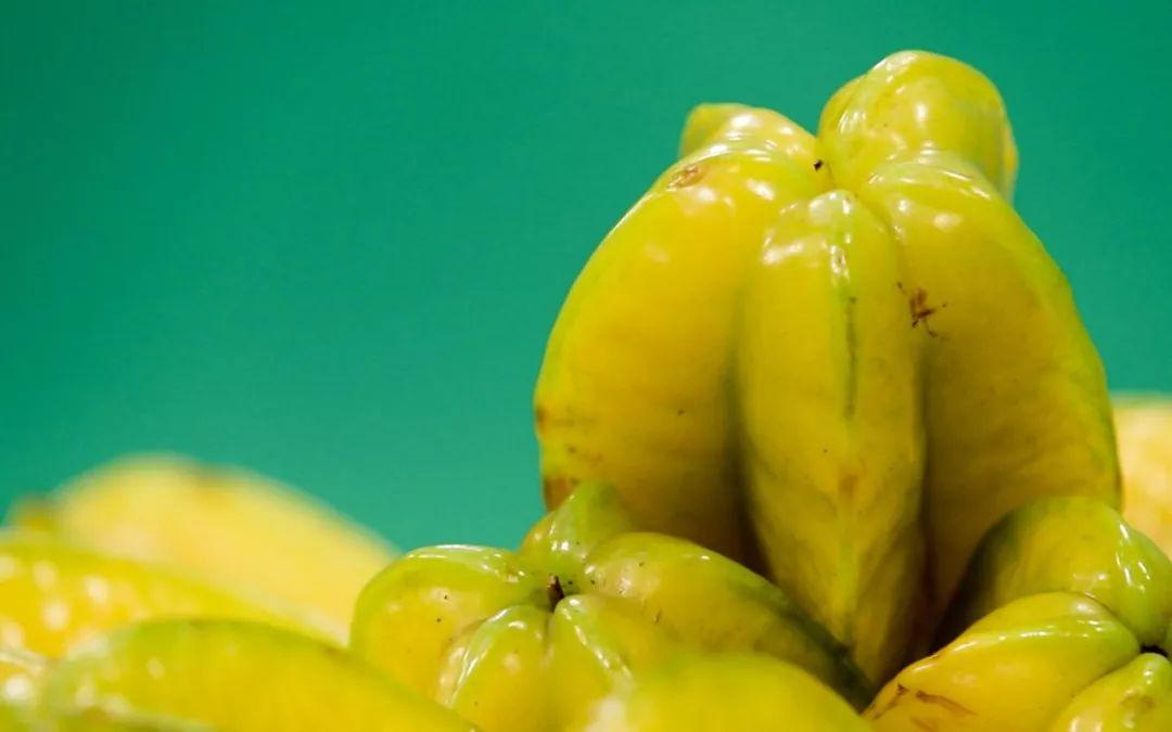 富硒葛根面粉怎么吃最好（葛根面吃了会胖吗）-硒宝网