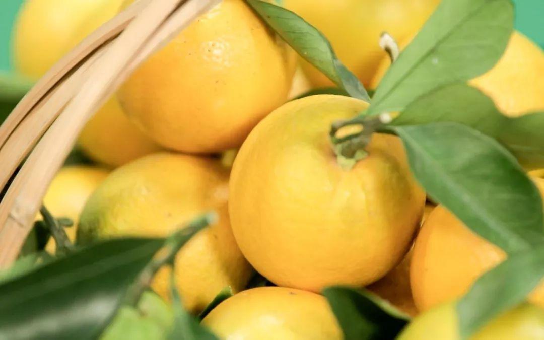 富硒葛根面粉怎么吃最好（葛根面吃了会胖吗）-硒宝网