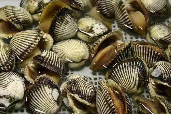 富硒葛根面粉怎么吃最好（葛根面吃了会胖吗）-硒宝网