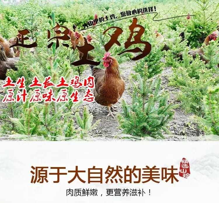 富硒葛根面粉怎么吃最好（葛根面吃了会胖吗）-硒宝网