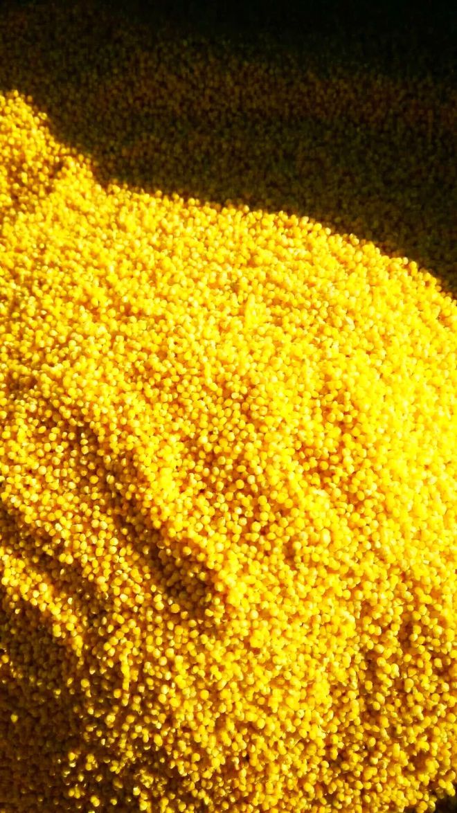 富硒紫麦面粉如何吃更好(富硒紫麦怎么吃)-硒宝网