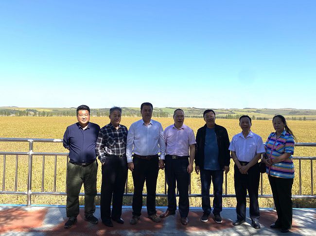 北大荒幸福麦田富硒面粉(北大荒面粉价格)-硒宝网