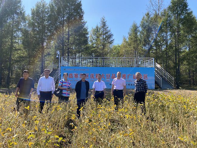 北大荒幸福麦田富硒面粉(北大荒面粉价格)-硒宝网