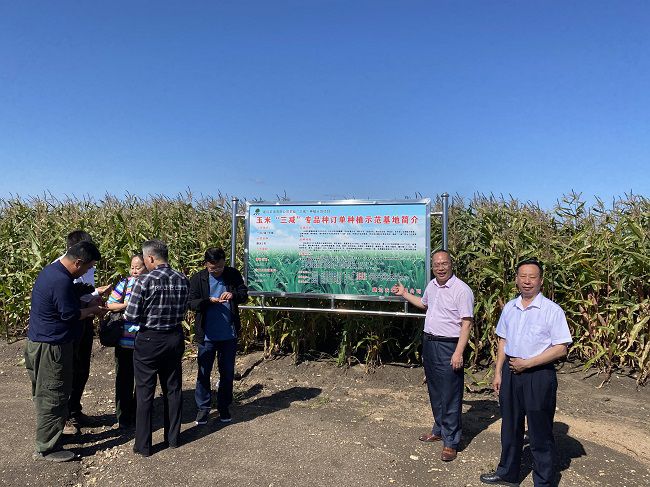 北大荒幸福麦田富硒面粉(北大荒面粉价格)-硒宝网