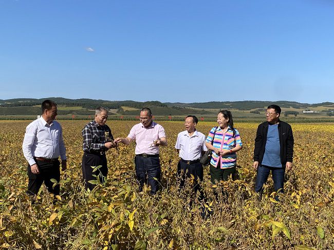 北大荒幸福麦田富硒面粉(北大荒面粉价格)-硒宝网