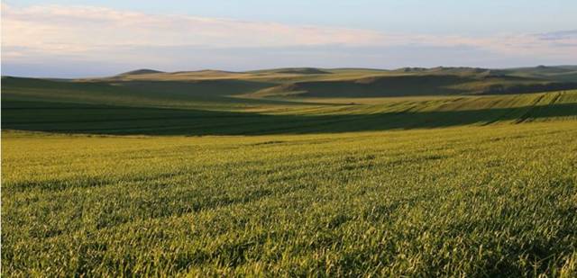 富硒石磨面粉有几多个种(富硒石磨小麦粉)-硒宝网