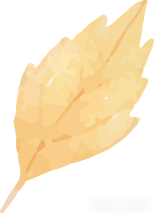 富硒石磨面粉有几多个种（石磨富硒全麦粉的功效）-硒宝网