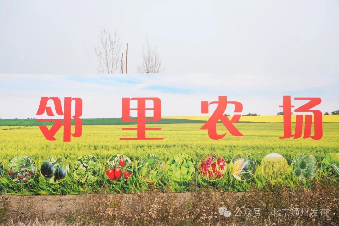 富硒石磨面粉有几多个种（石磨富硒全麦粉的功效）-硒宝网