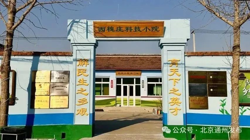 富硒石磨面粉有几多个种（石磨富硒全麦粉的功效）-硒宝网